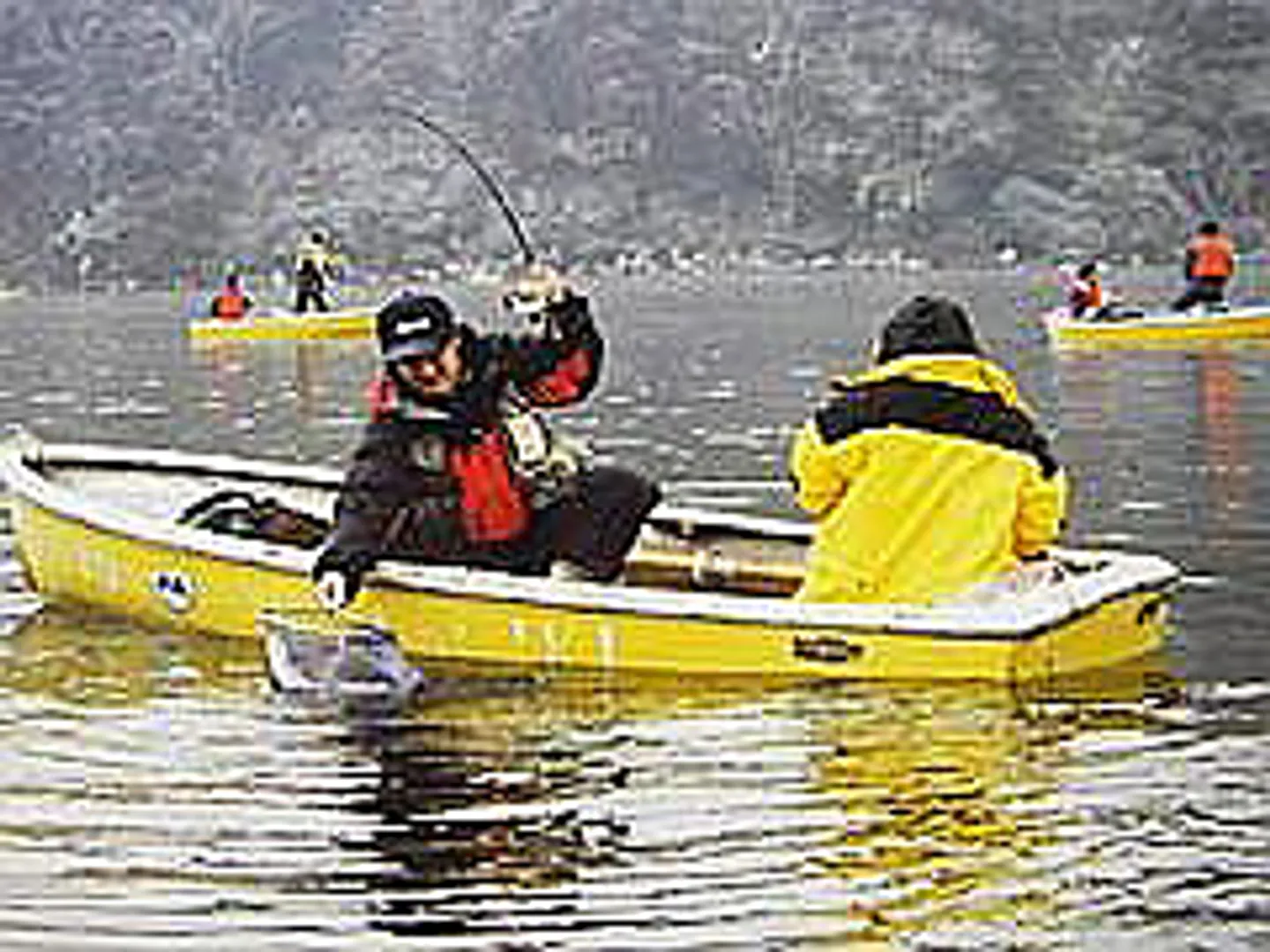 自然豊かな湖で釣りを楽しもう