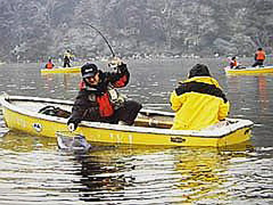 自然豊かな湖で釣りを楽しもう