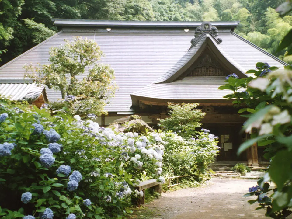 6〜7月は参道にアジサイが咲き誇る