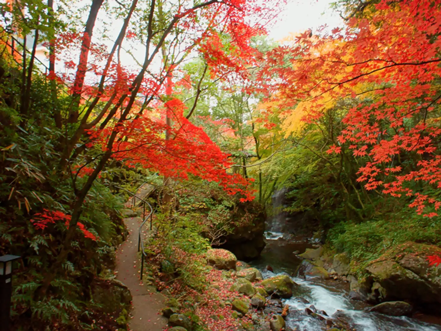 万葉 公園 湯河原