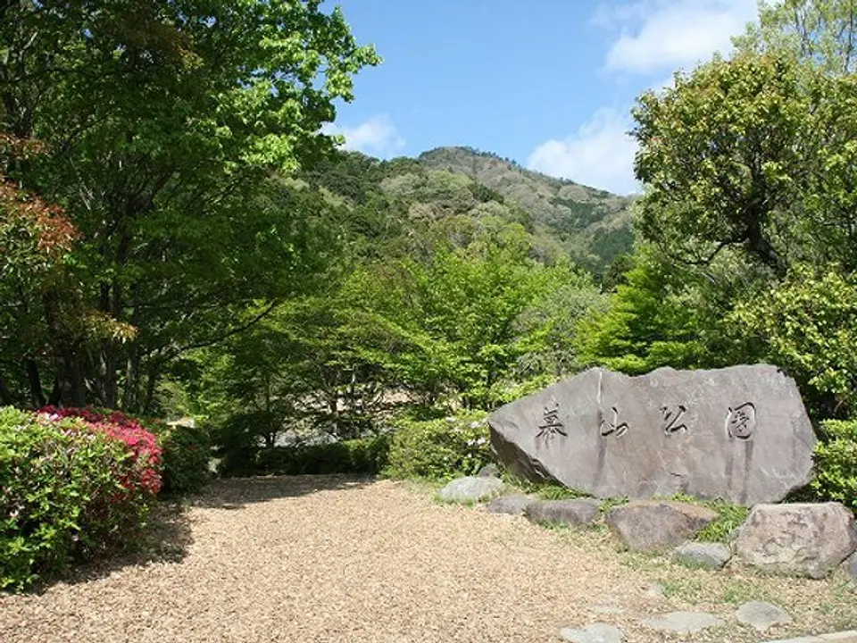 A1902780a.jpg