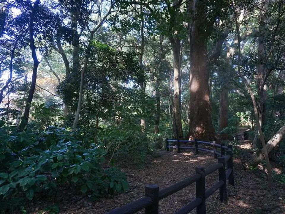 御林遊歩道内