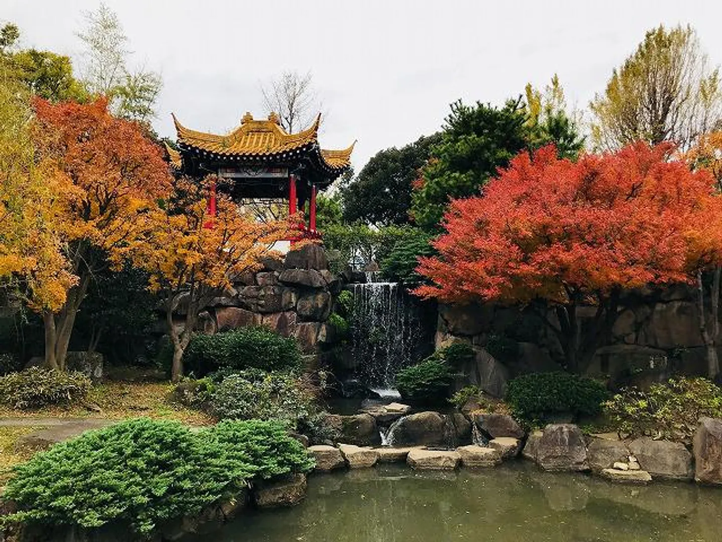 瀋秀園紅葉