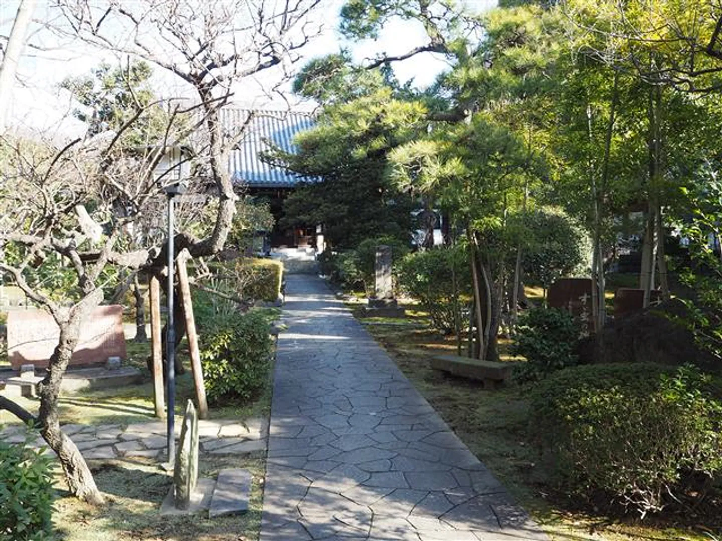 80084503d.jpg