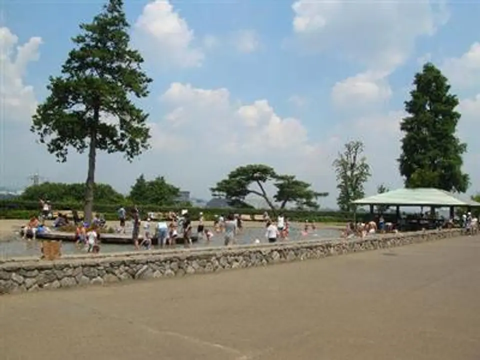 遊びの池