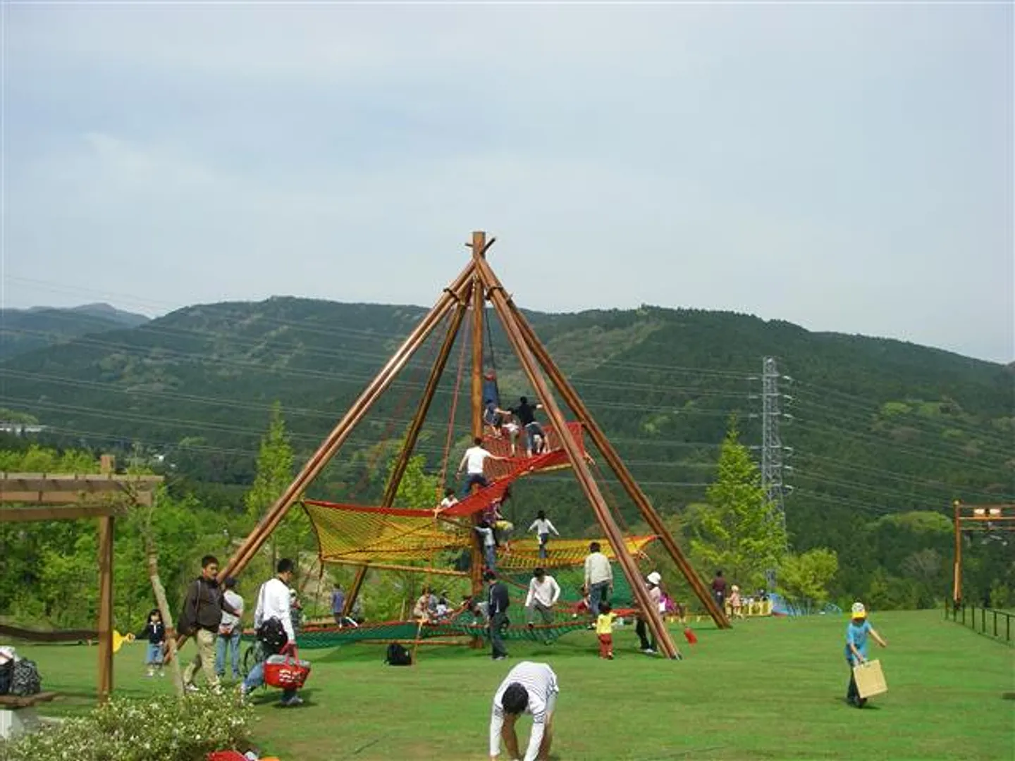 木登りネット