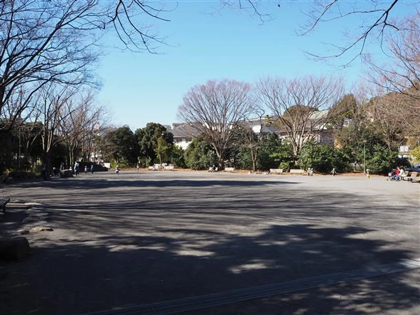 80088406d.jpg
