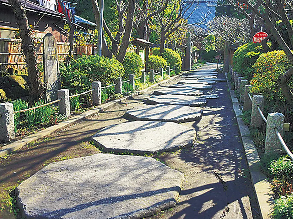 萩の見ごろは9月中旬から。参道が純白の花に彩られ、華やかな雰囲気に