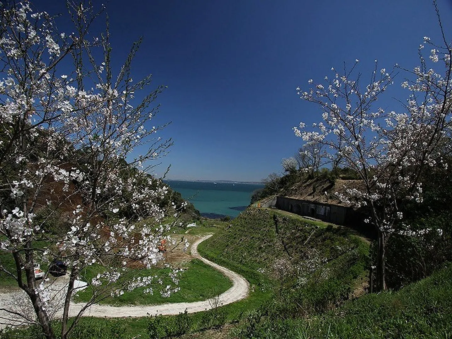 FARMASEA GARDEN 浦賀の全景