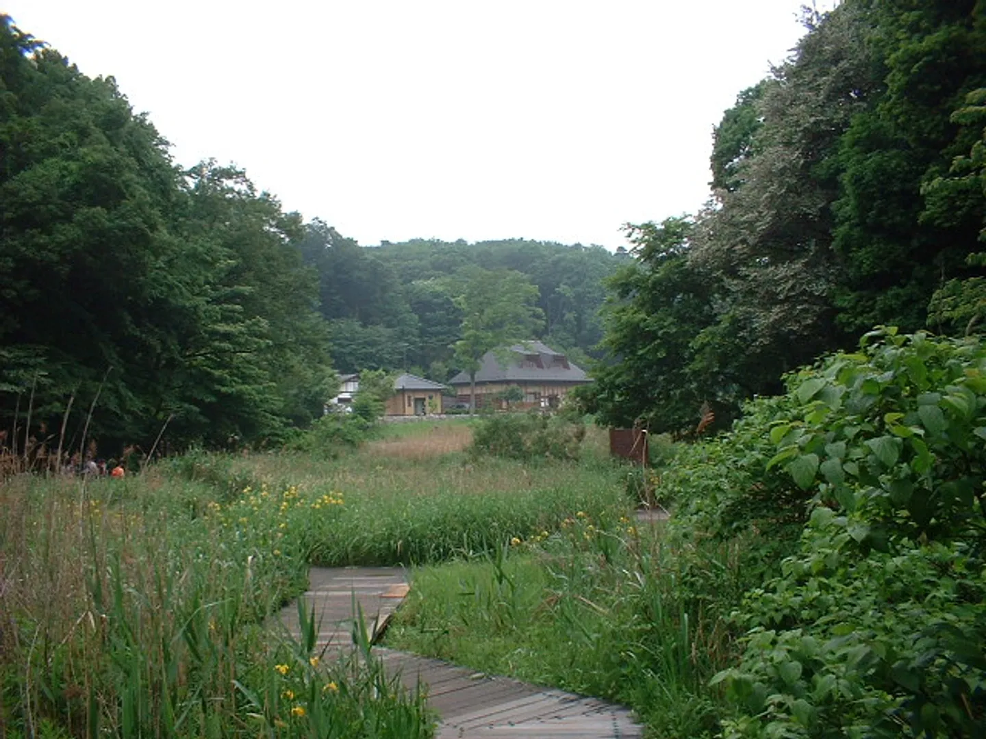 80105622a.jpg