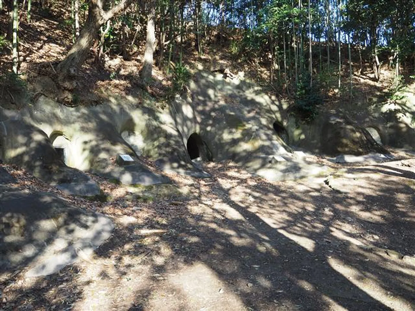 80109852a.jpg