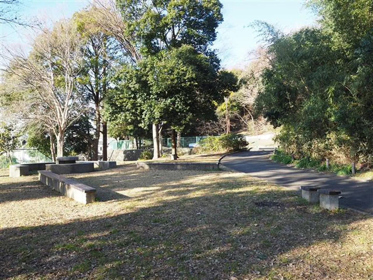 80109852c.jpg