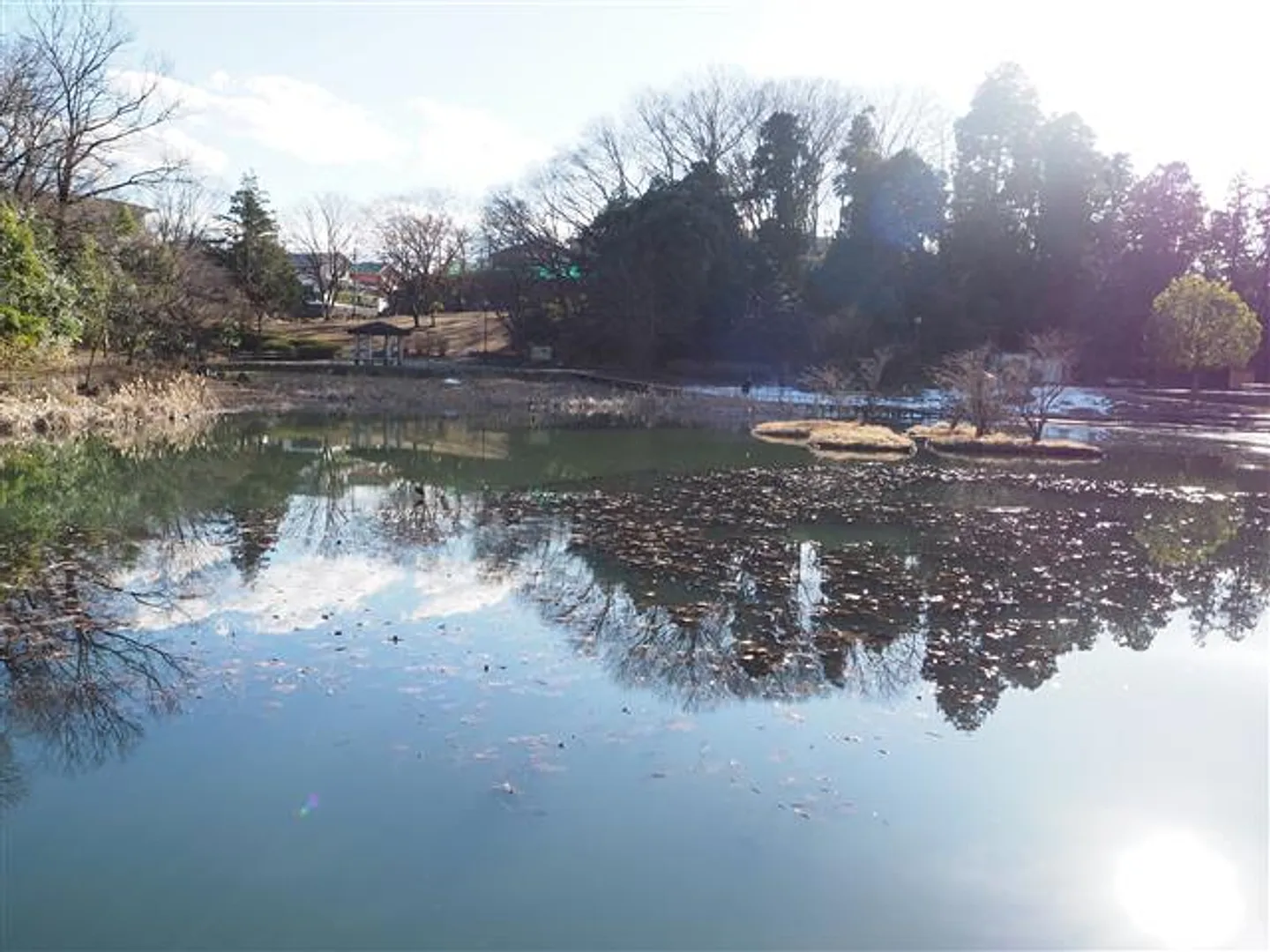 80109858a.jpg