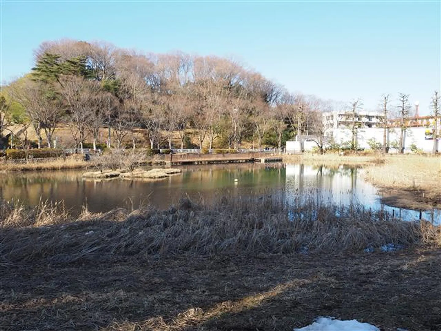 80109858b.jpg