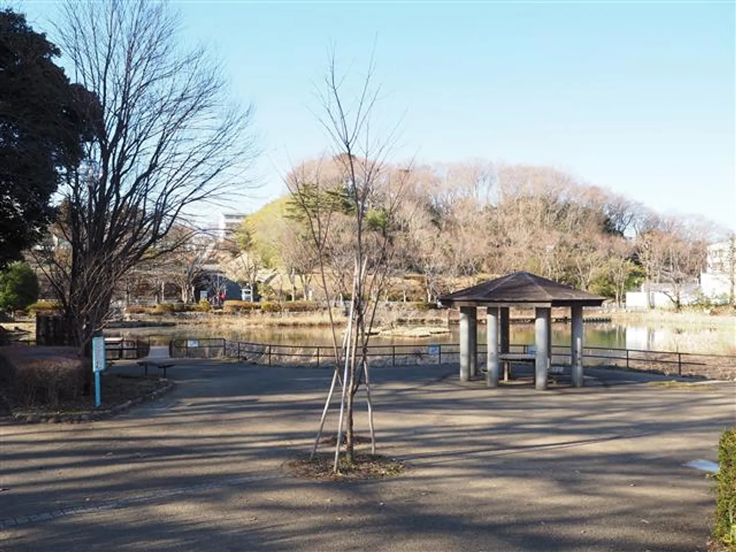 80109858c.jpg