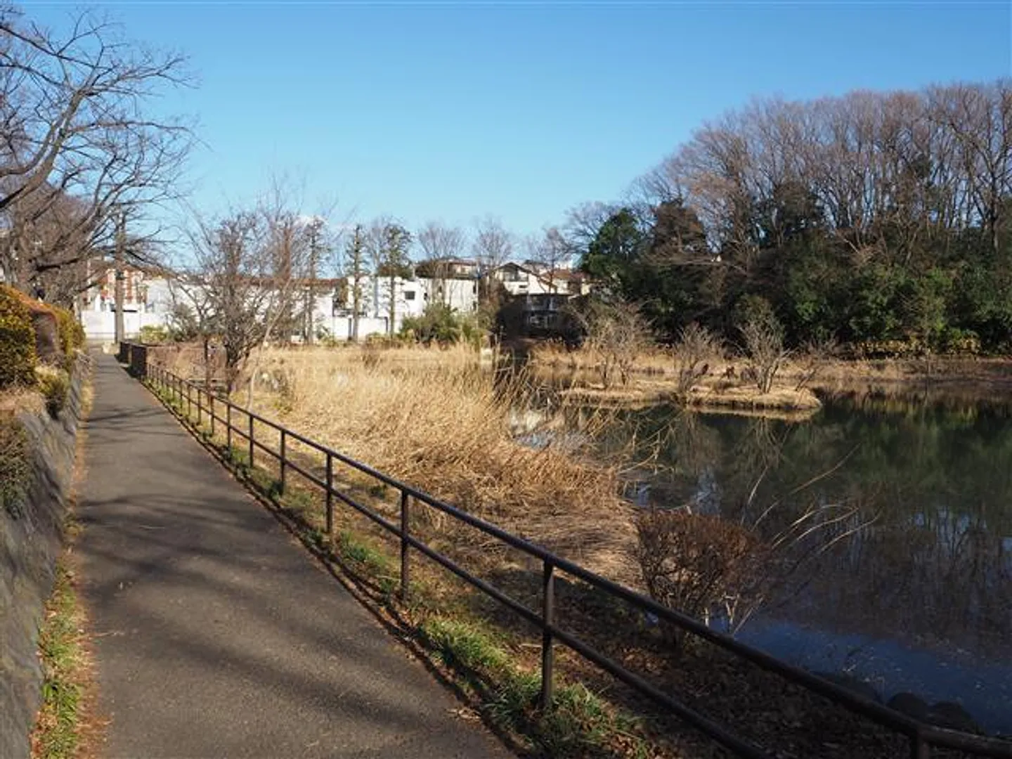 80109858d.jpg