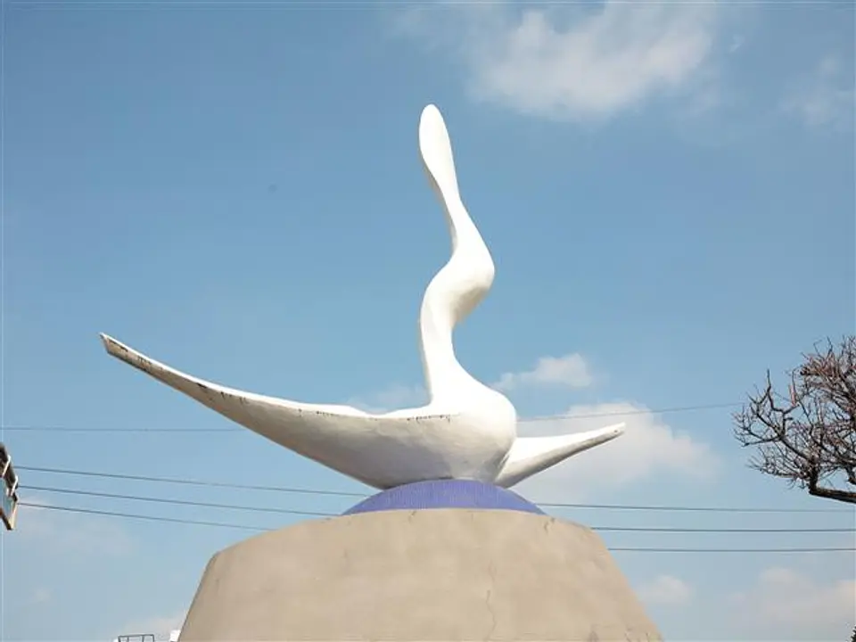 80109861a.jpg