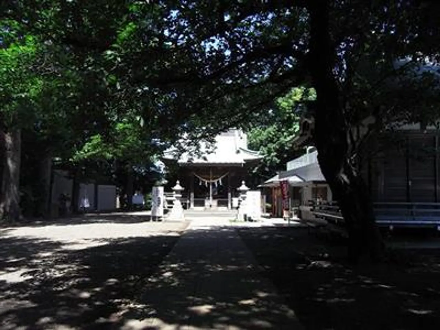 80109863a.jpg