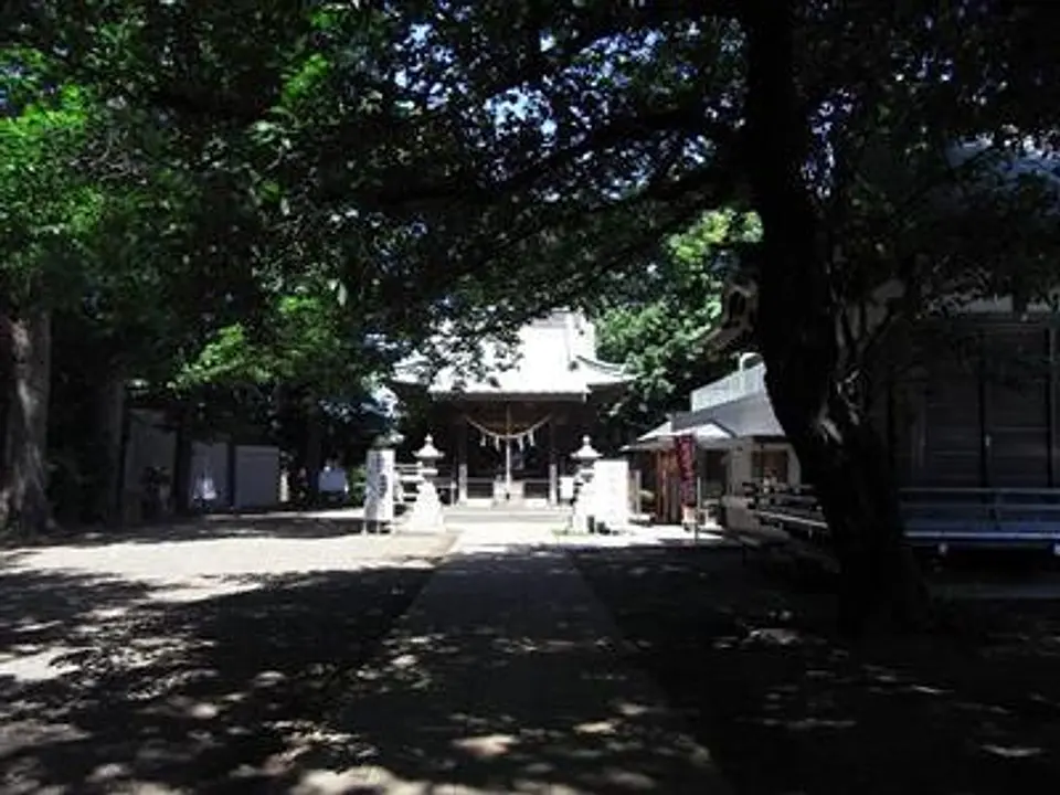 80109863a.jpg