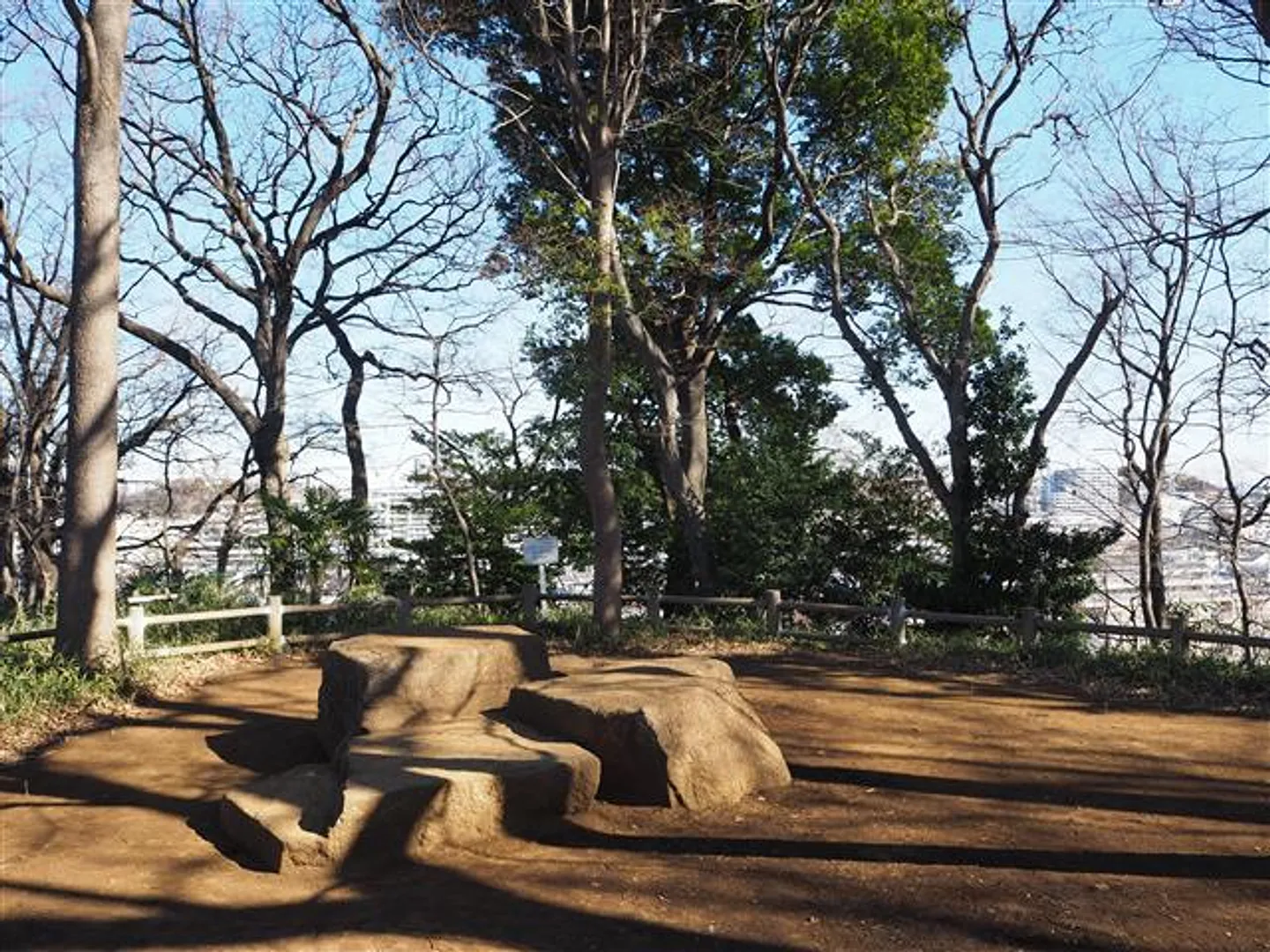 80109866c.jpg