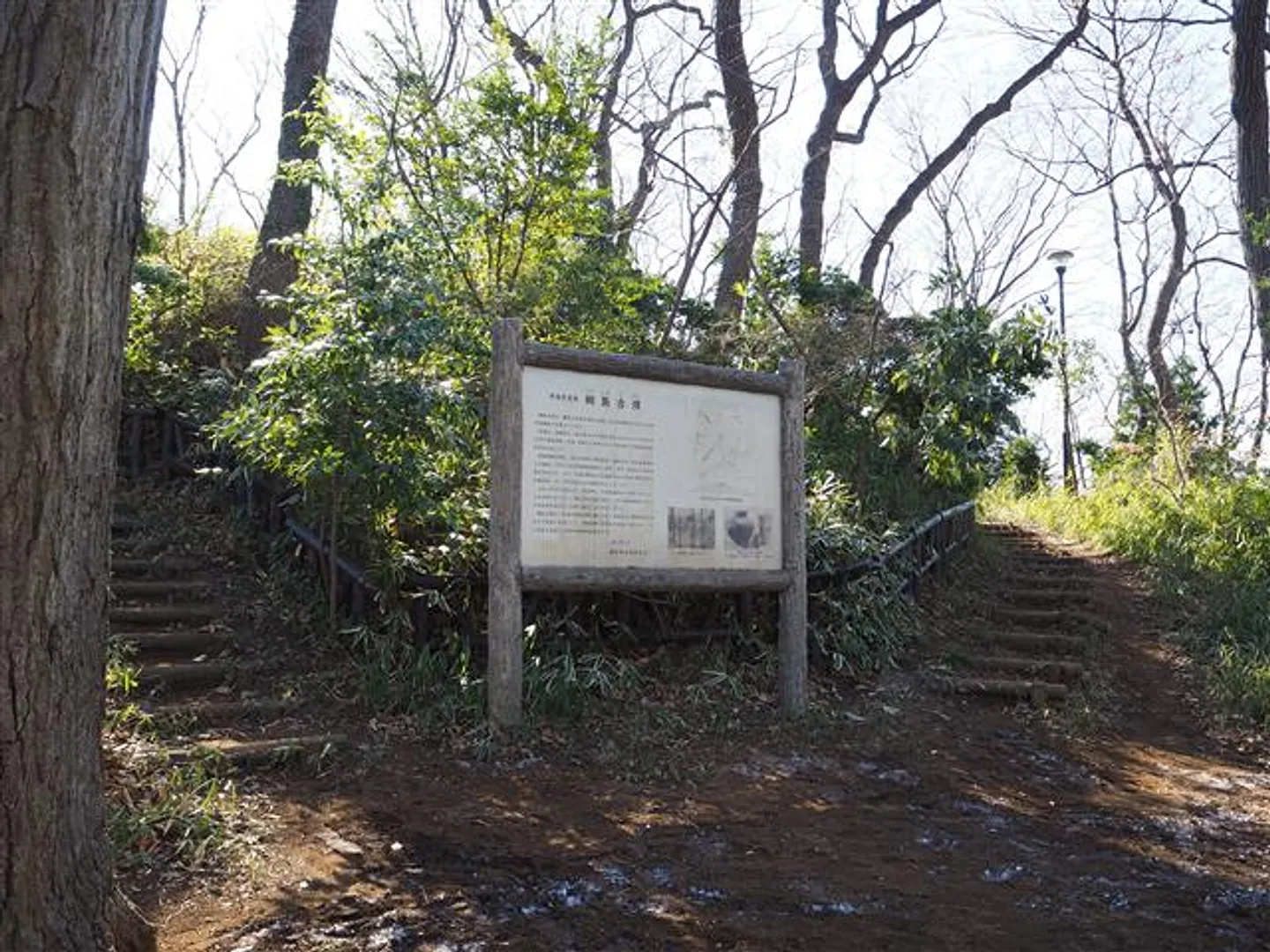 綱島古墳
