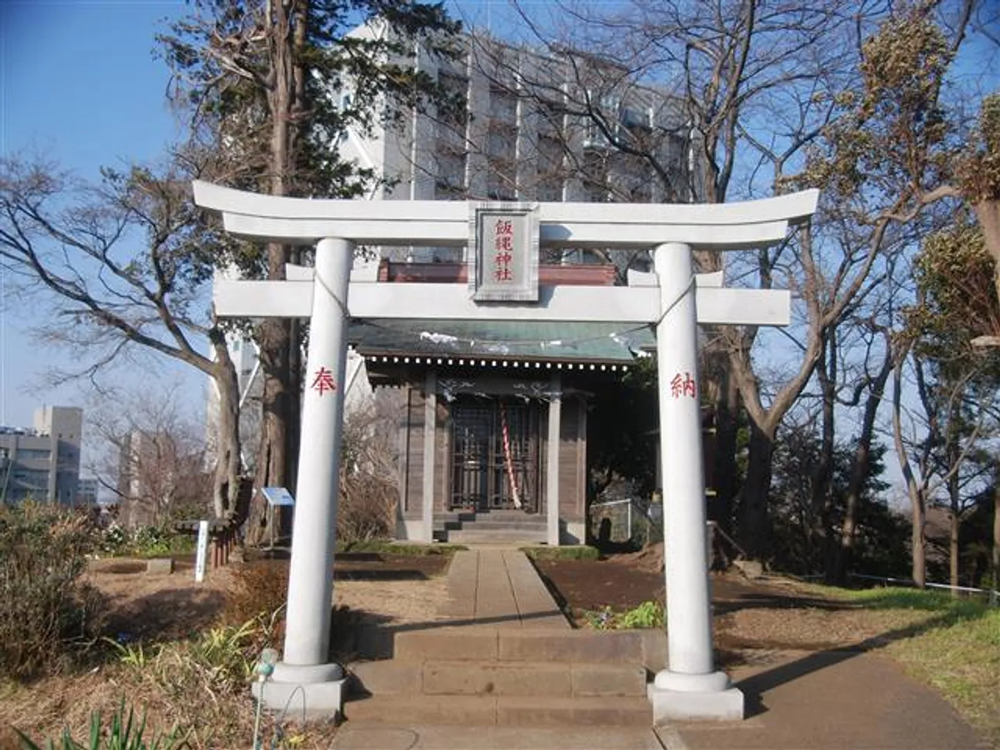 80109830c.jpg