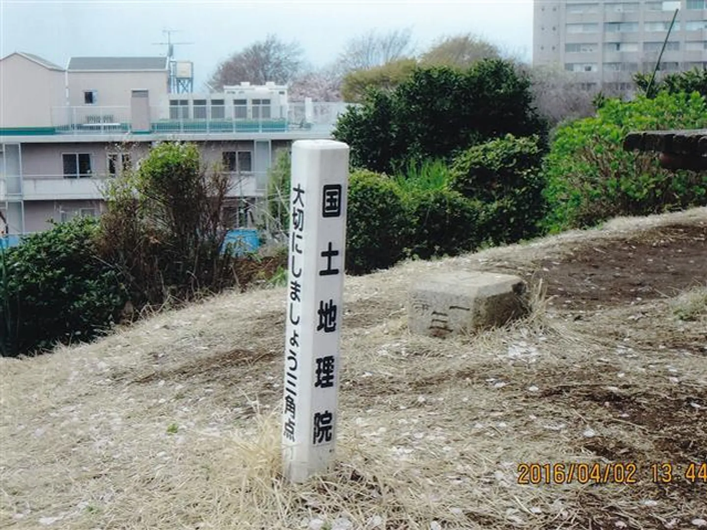 80109830d.jpg