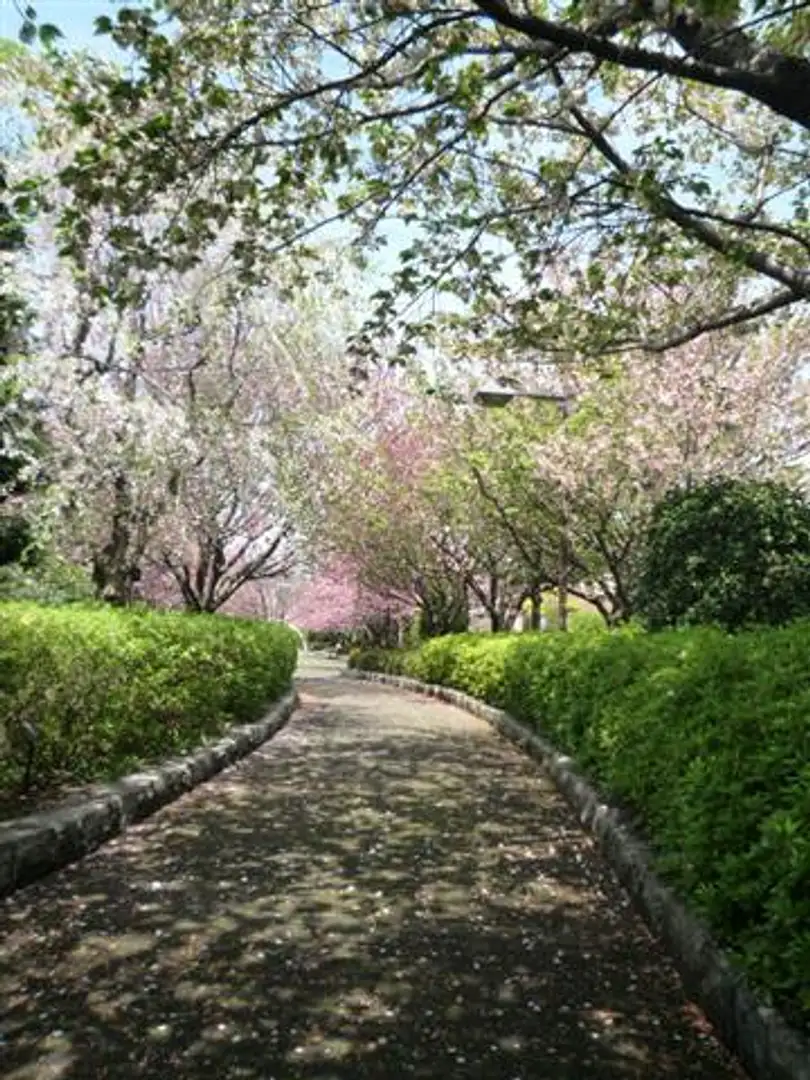 散歩道 フィット感抜群の防水レザースニーカー Parkwalk RTX01】（レディース