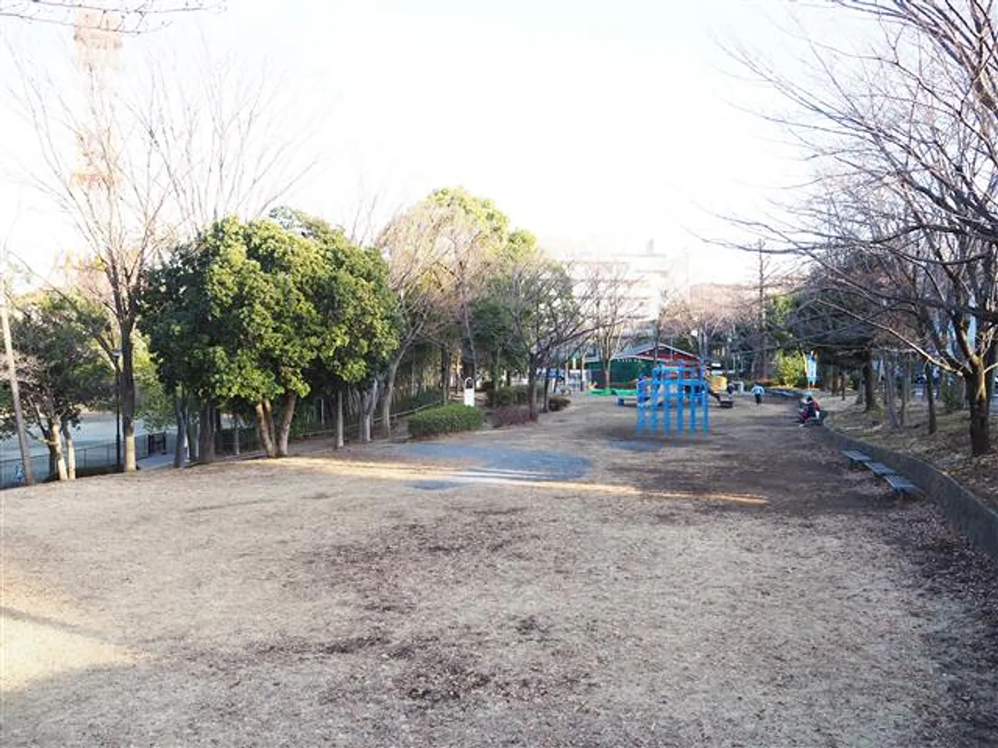 80109843a.jpg