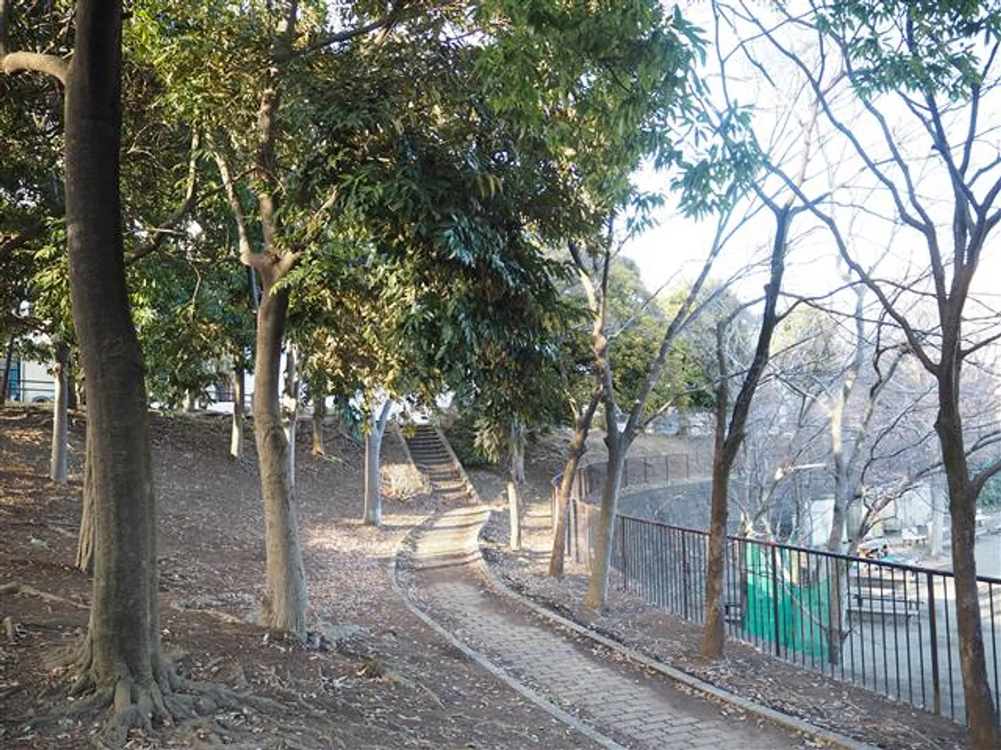80109843c.jpg