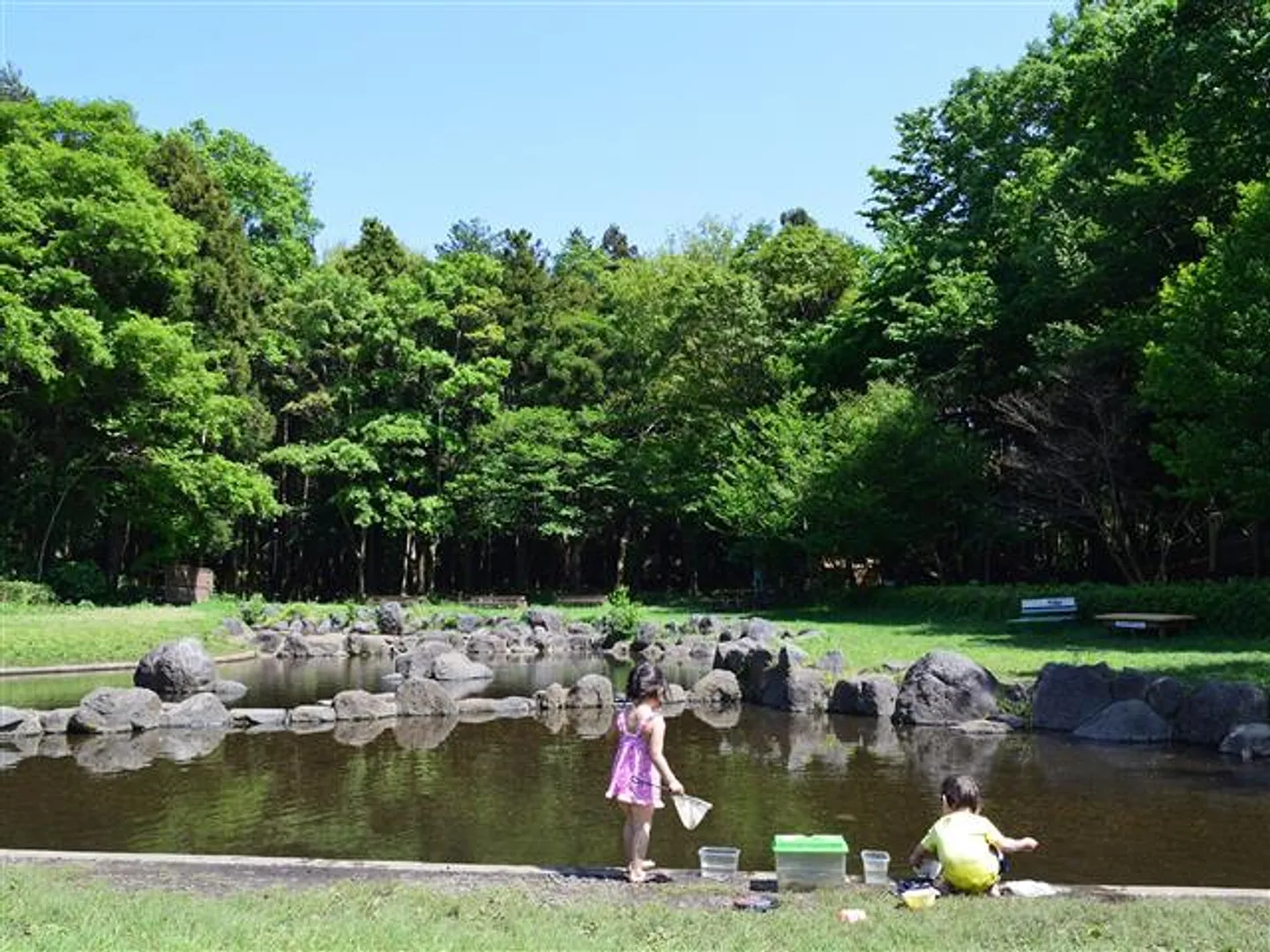 ジャブジャブ池