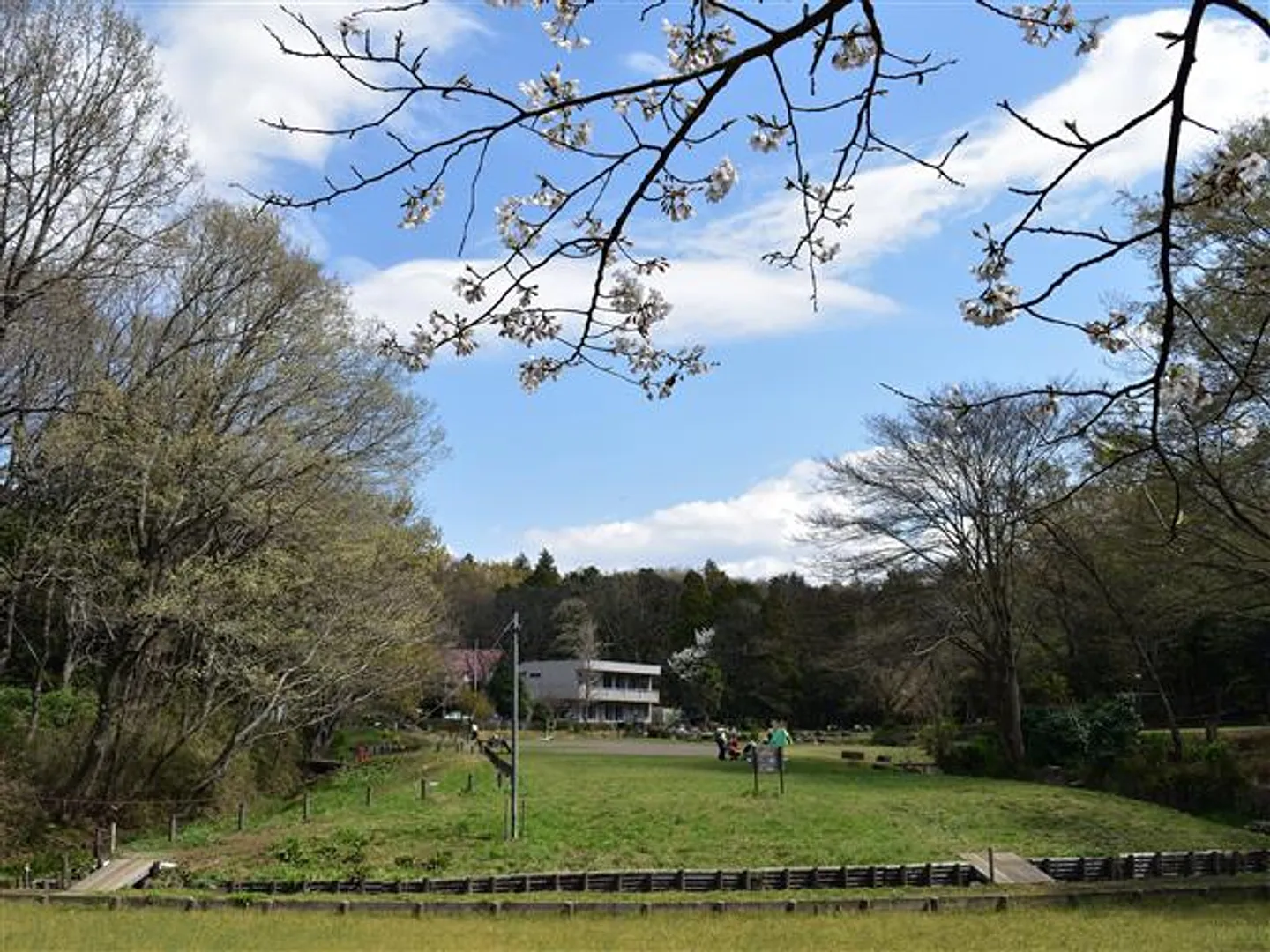 春の自由広場