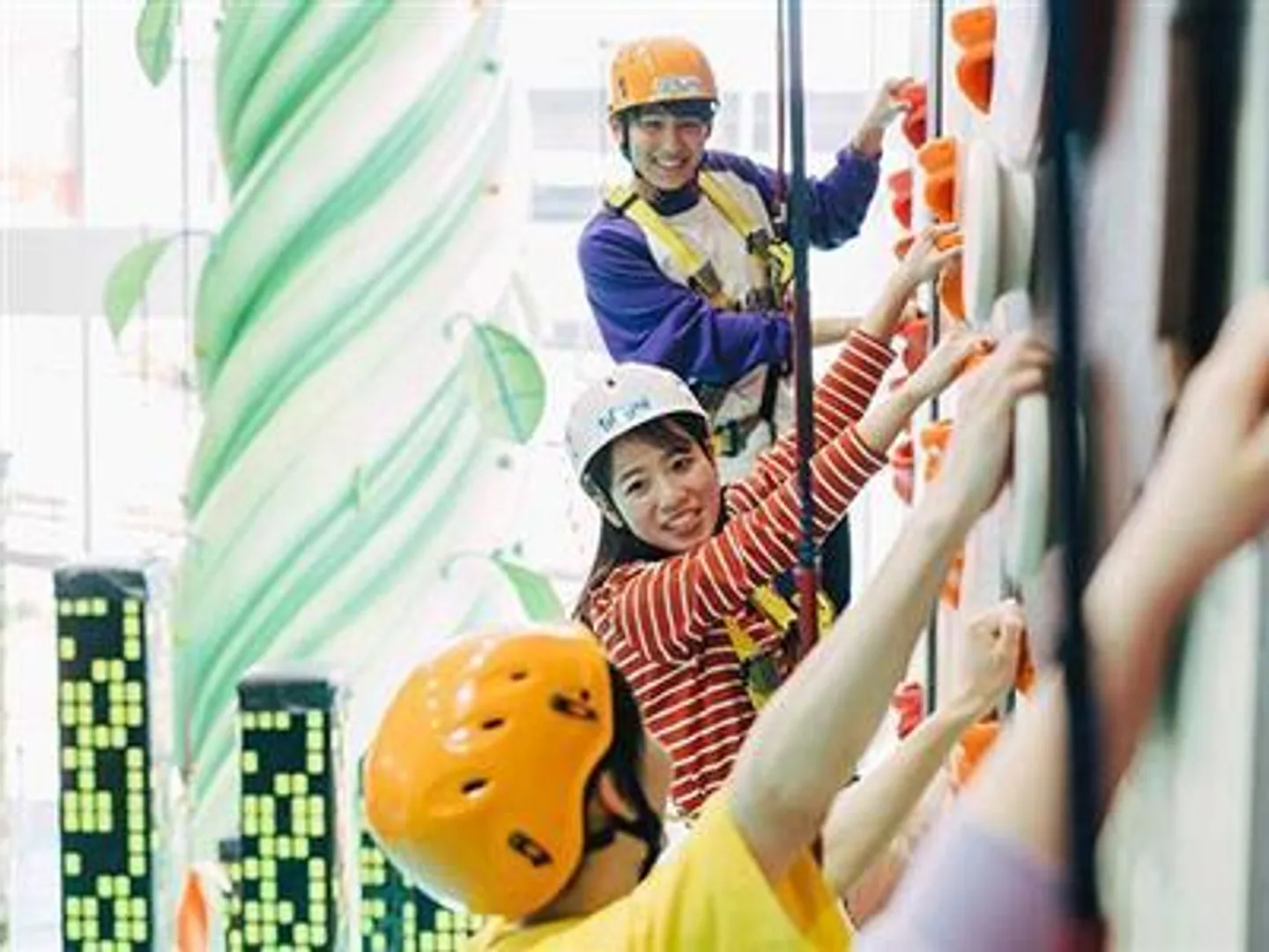 難易度の違う8種類の多彩なクライミングウォール