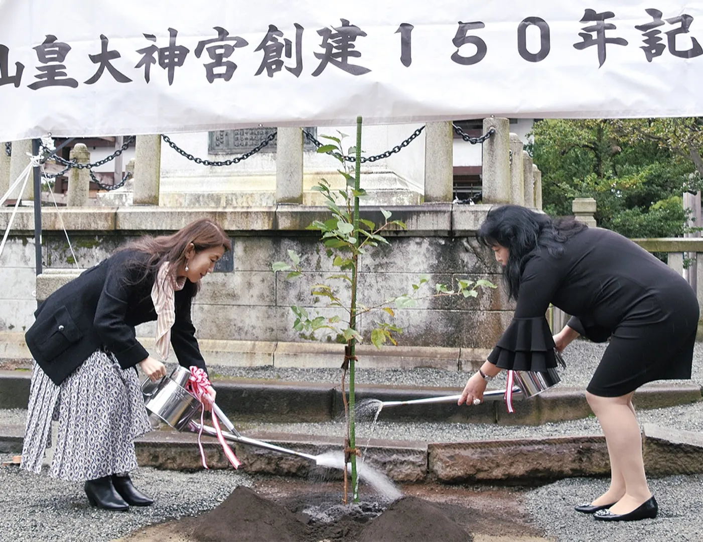 「シドモア桜の会 横浜」のメンバーによる水やりも