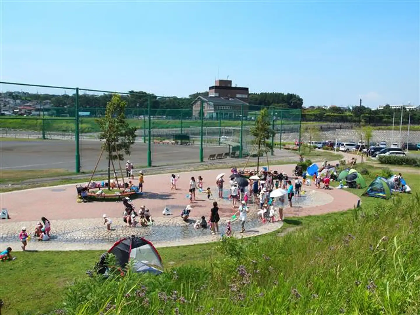 境川 遊水 地 公園