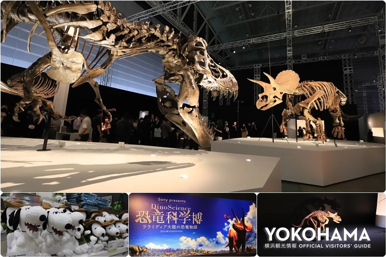 https://www.welcome.city.yokohama.jp/img_data/FEATUREIMG146_1.webp