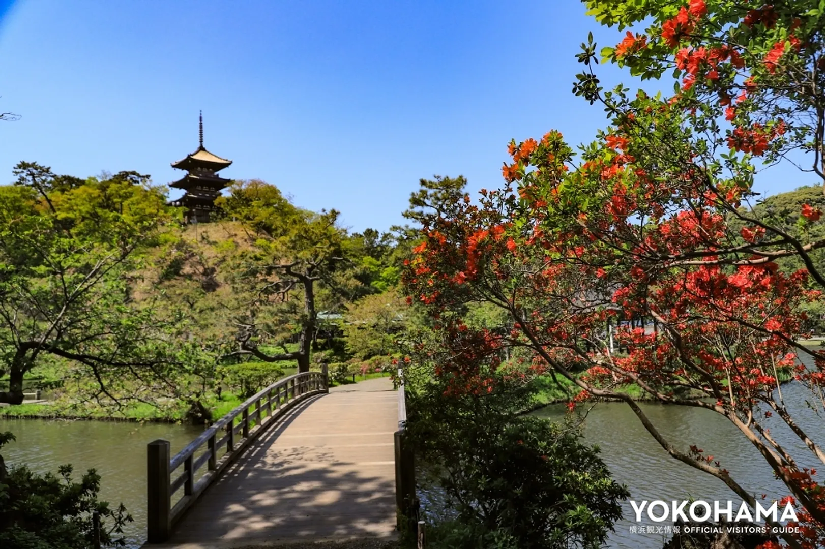 https://www.welcome.city.yokohama.jp/img_data/FEATUREIMG121_1.jpg