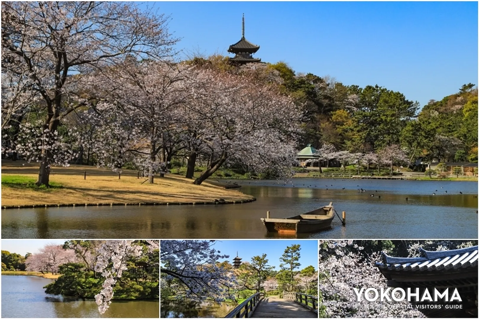 https://www.welcome.city.yokohama.jp/img_data/FEATUREIMG116_1.jpg