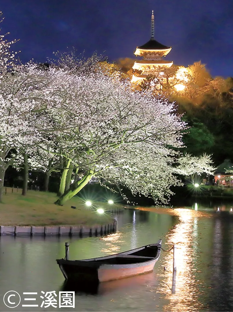 ライトアップされた桜と古建築