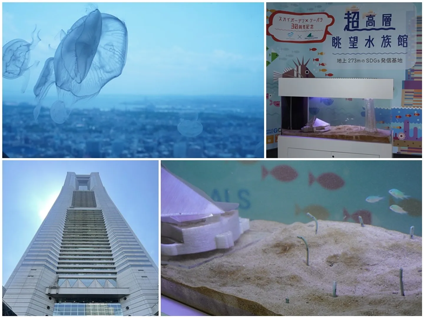 https://www.welcome.city.yokohama.jp/img_data/FEATUREIMG222_1.jpg