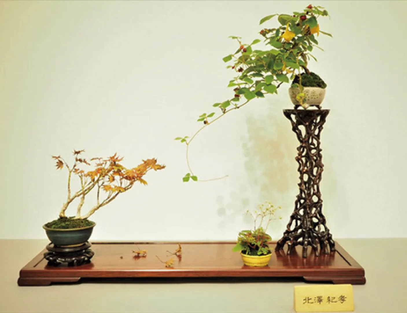 昨年の出展作品＝主催者提供