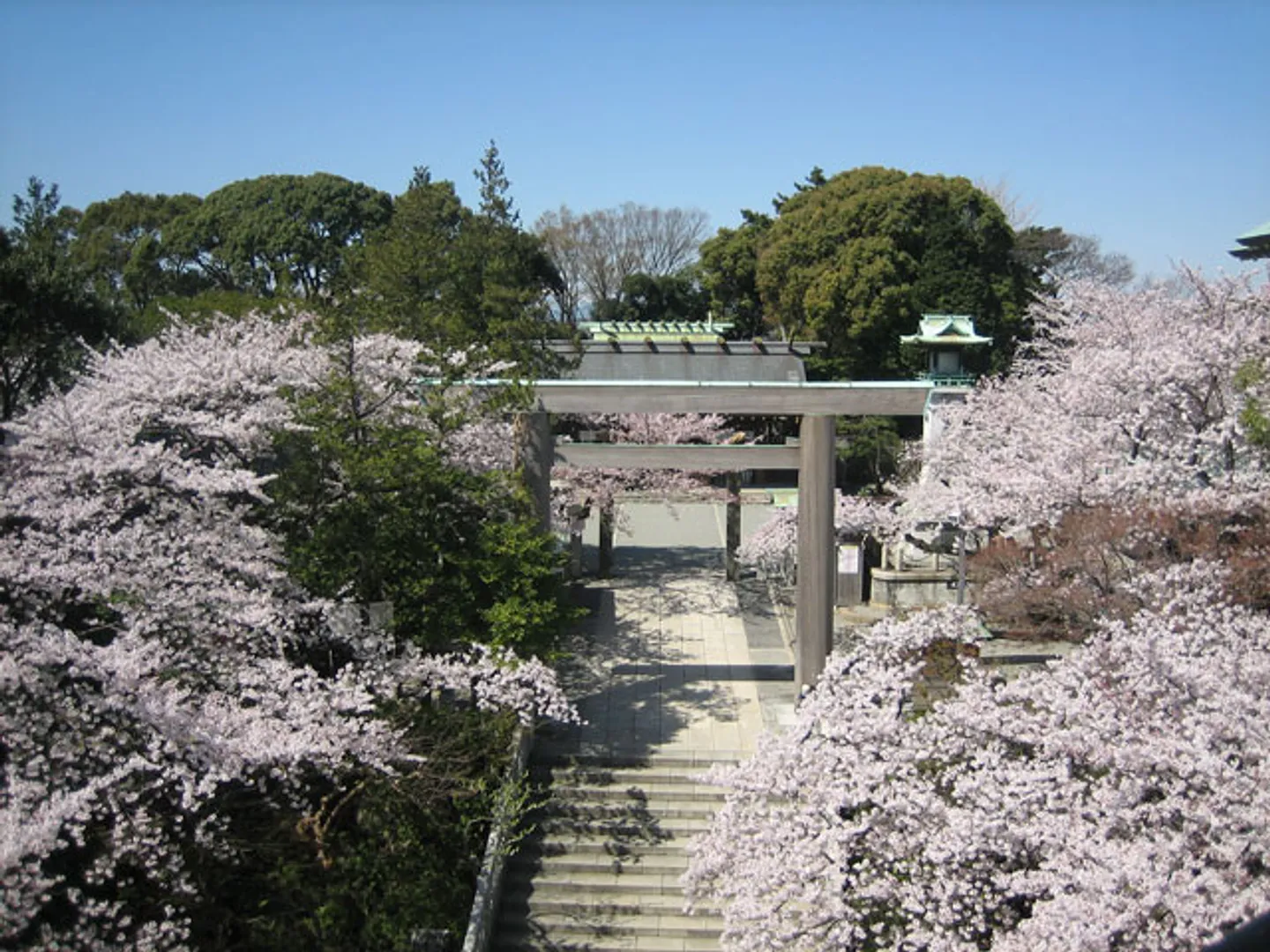 かつては参道沿いに桜並木が続き、横浜有数の桜の名所であった。現在でも境内に桜の木が多い