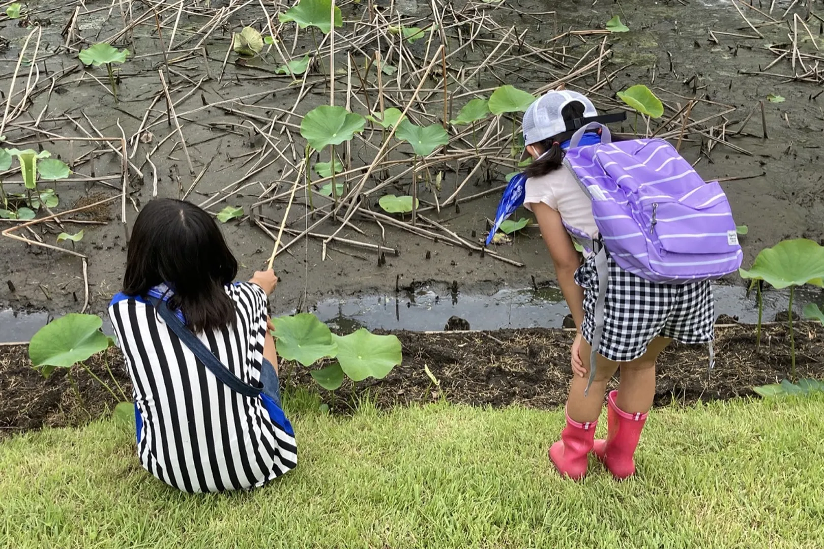 ザリガニを釣る子供たち