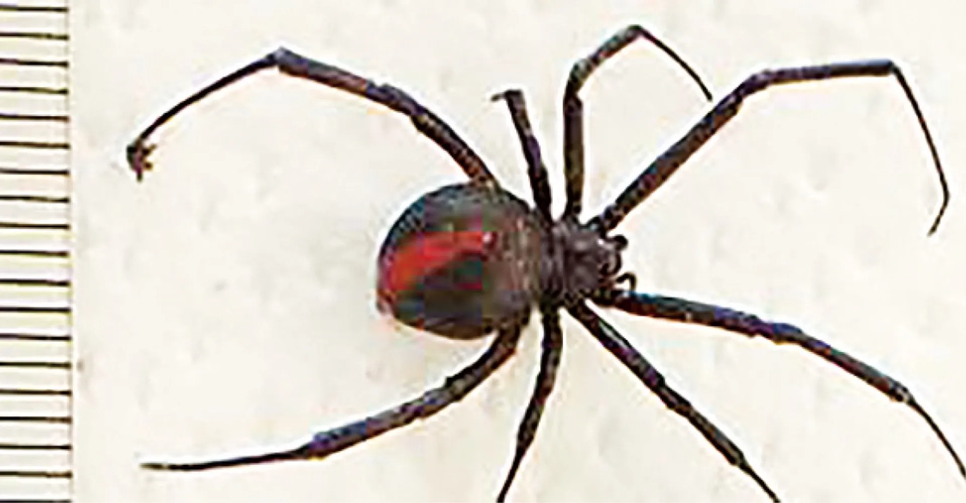 a001071504_04.jpg