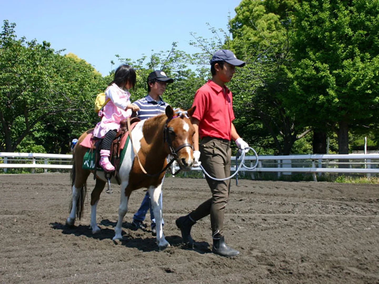 乗馬デーのポニーの試乗会、3歳以上から乗れる
