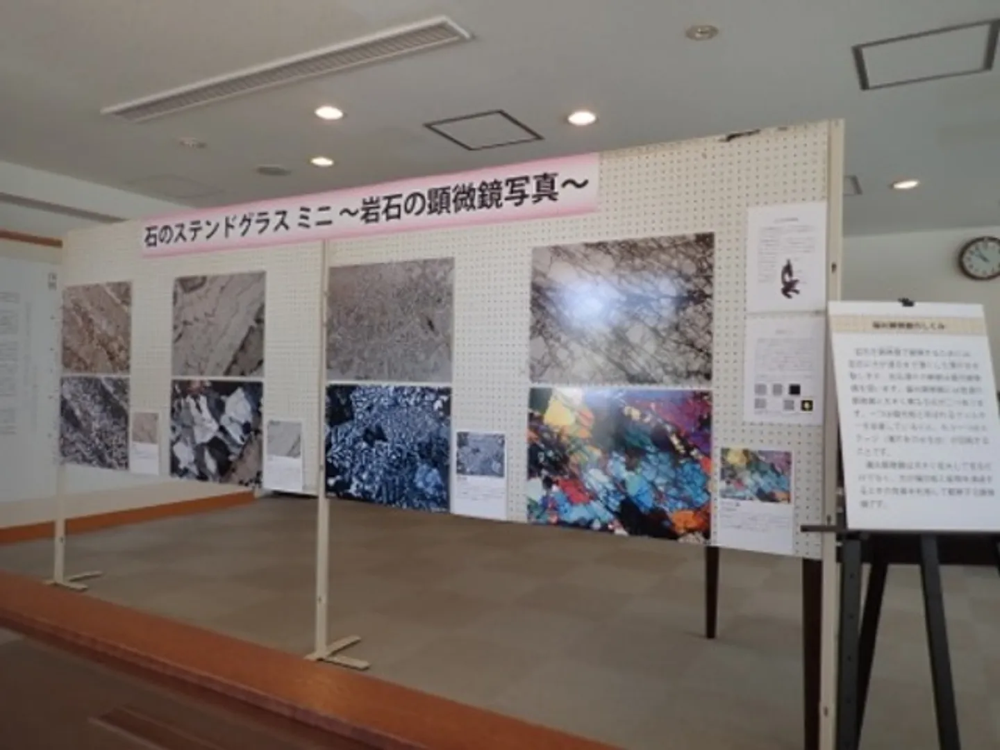 展示の様子