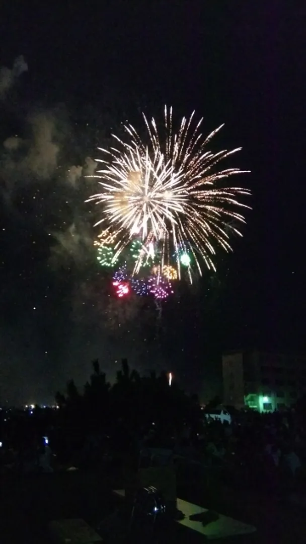 10530771.jpg
