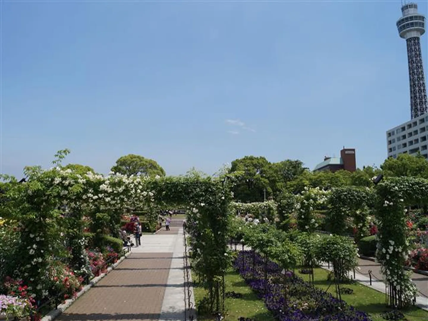 J0046451d.jpg