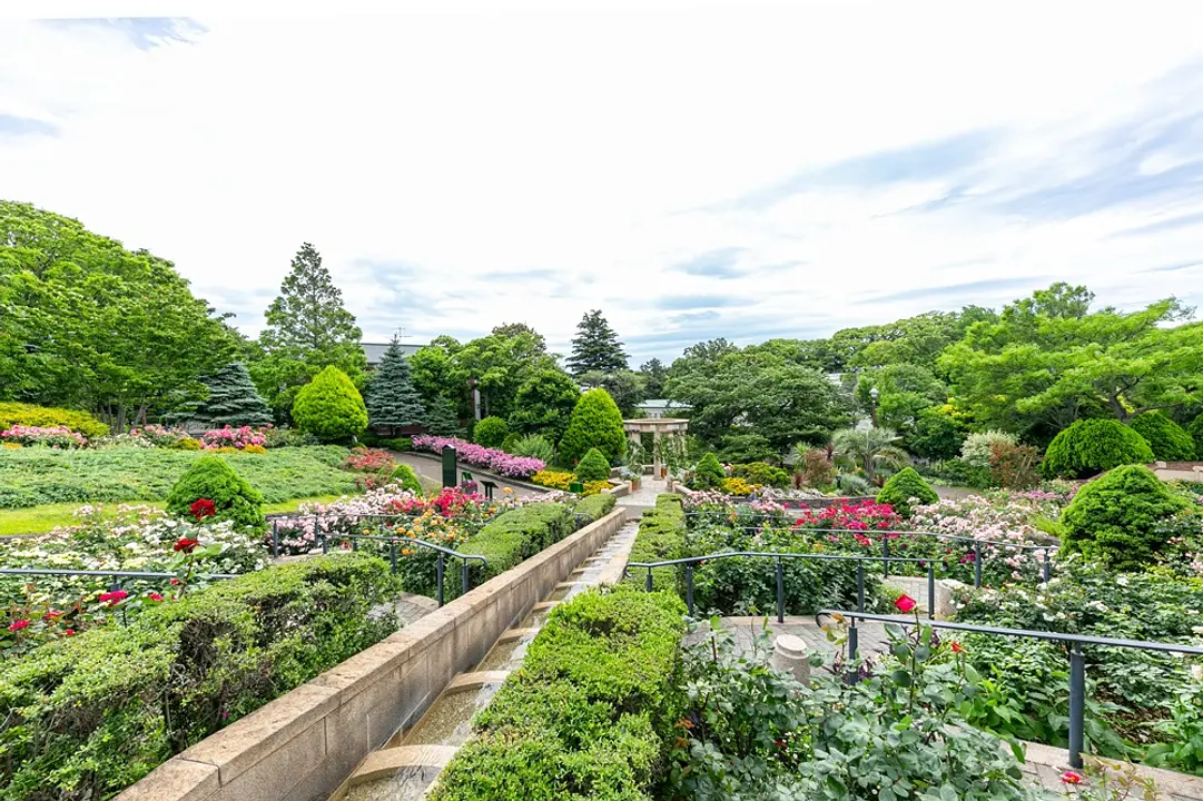 展望台