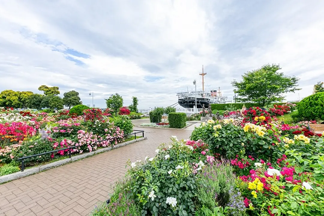 未来のバラ園